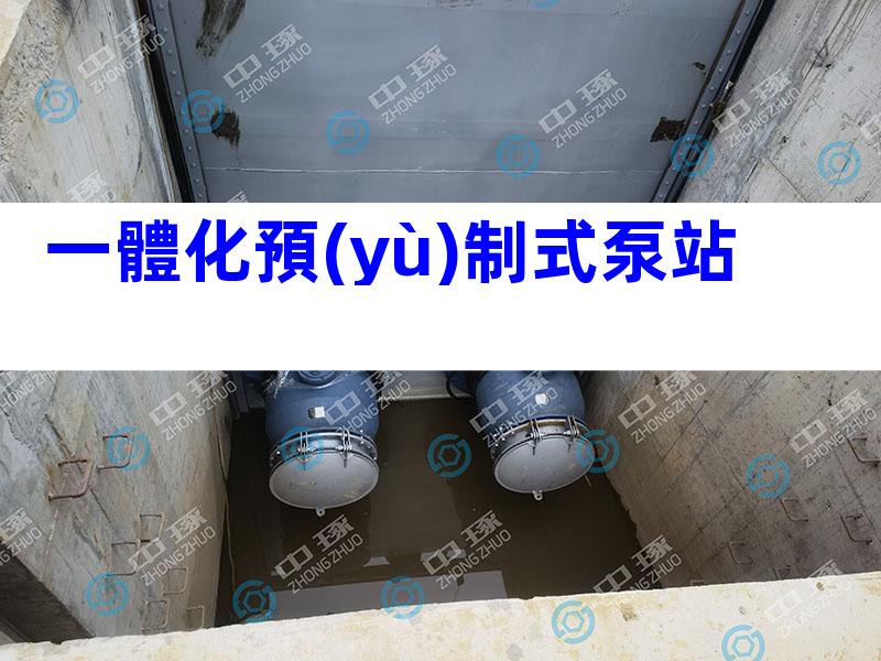 一體化預(yù)制式泵站
