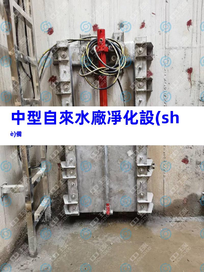 中型自來水廠凈化設(shè)備