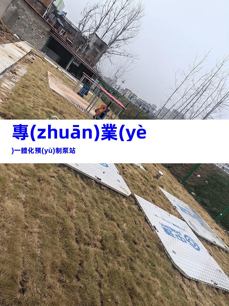 專(zhuān)業(yè)一體化預(yù)制泵站