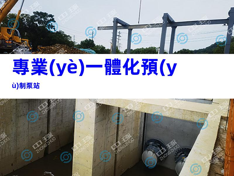 專業(yè)一體化預(yù)制泵站