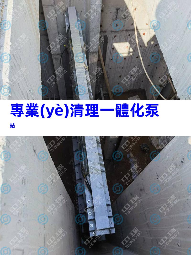專業(yè)清理一體化泵站