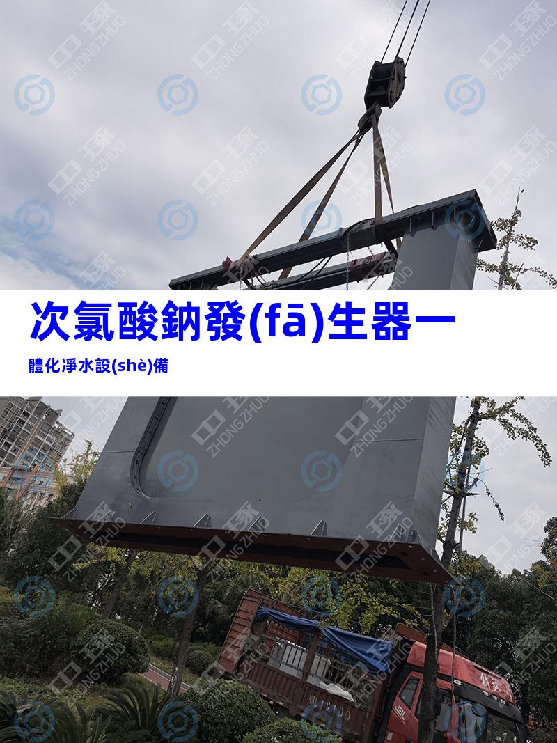次氯酸鈉發(fā)生器一體化凈水設(shè)備