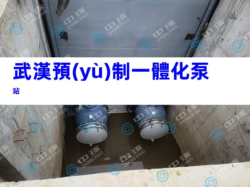 武漢預(yù)制一體化泵站