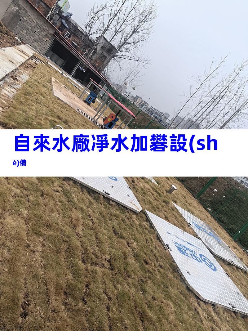 自來水廠凈水加礬設(shè)備
