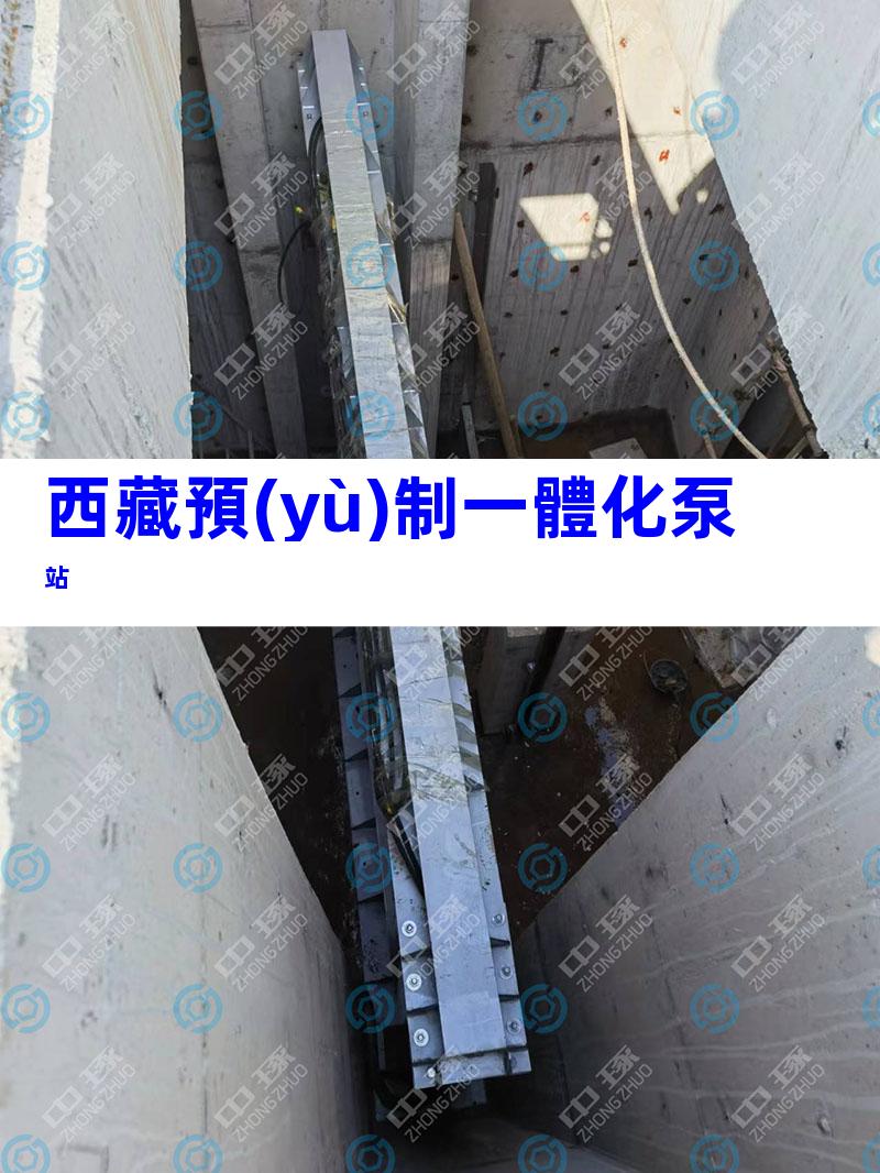 西藏預(yù)制一體化泵站
