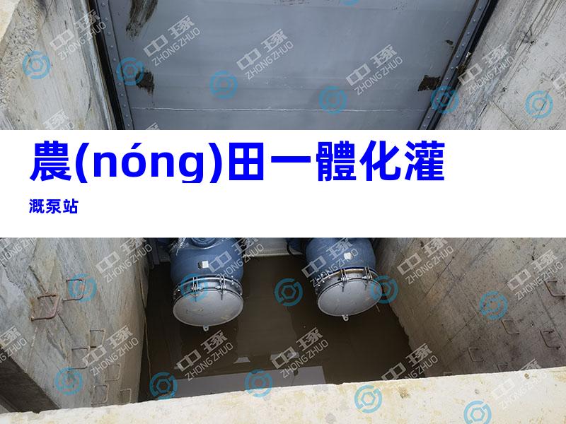 農(nóng)田一體化灌溉泵站