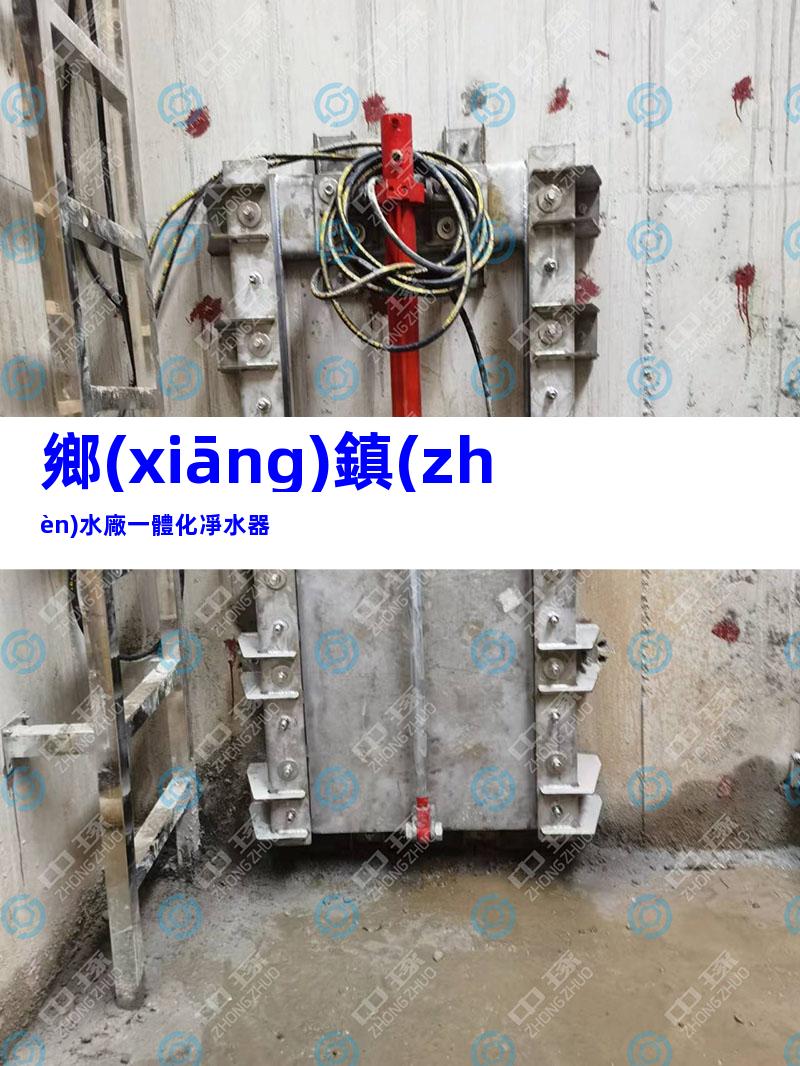 鄉(xiāng)鎮(zhèn)水廠一體化凈水器