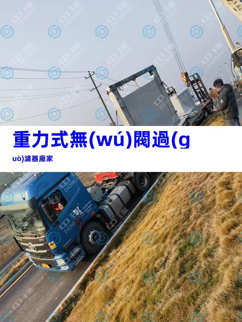 重力式無(wú)閥過(guò)濾器廠家