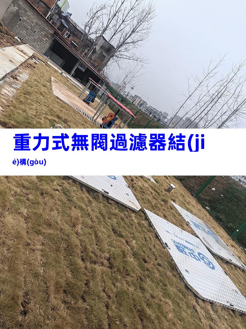 重力式無閥過濾器結(jié)構(gòu)