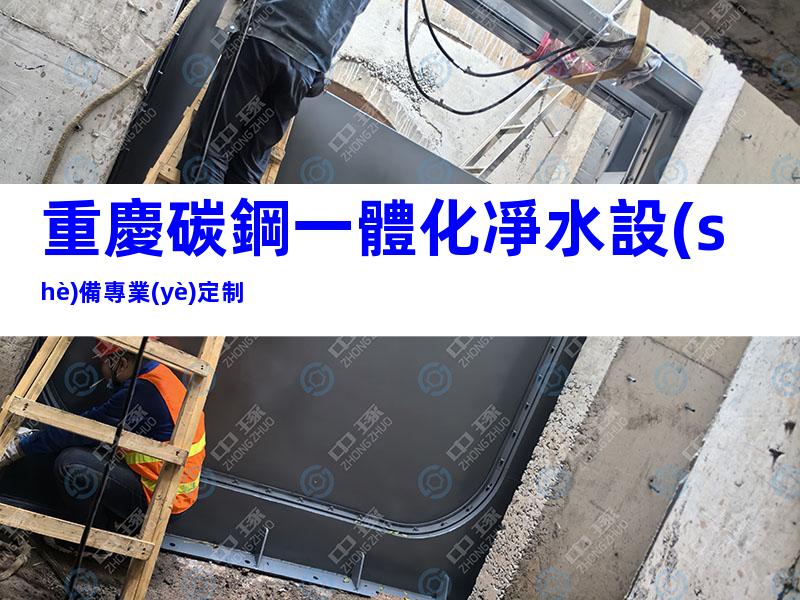 重慶碳鋼一體化凈水設(shè)備專業(yè)定制