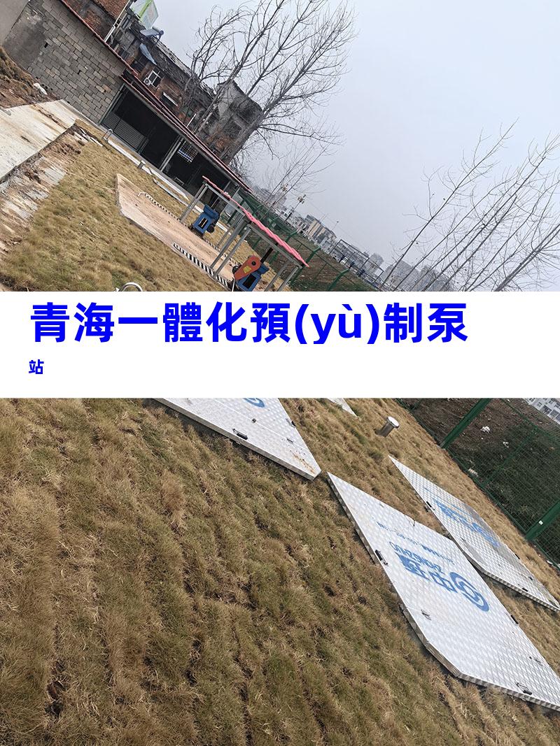 青海一體化預(yù)制泵站